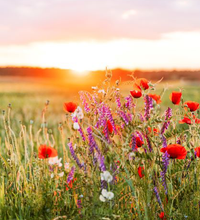 Load image into Gallery viewer, Wild Flowers & Lavender Premium Soap