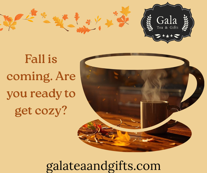 Fall is coming, are you ready to get cozy?