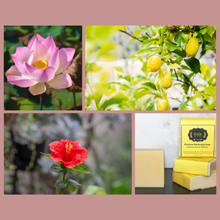 Load image into Gallery viewer, Lemon, Lotus &amp; Hibiscus